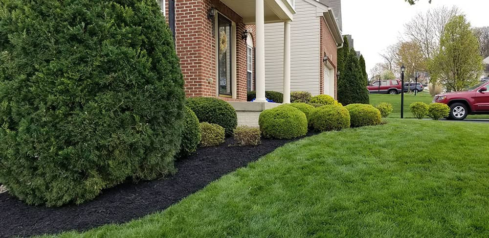trimmed shrubs in front of brick home