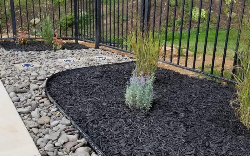 mulch area with plants