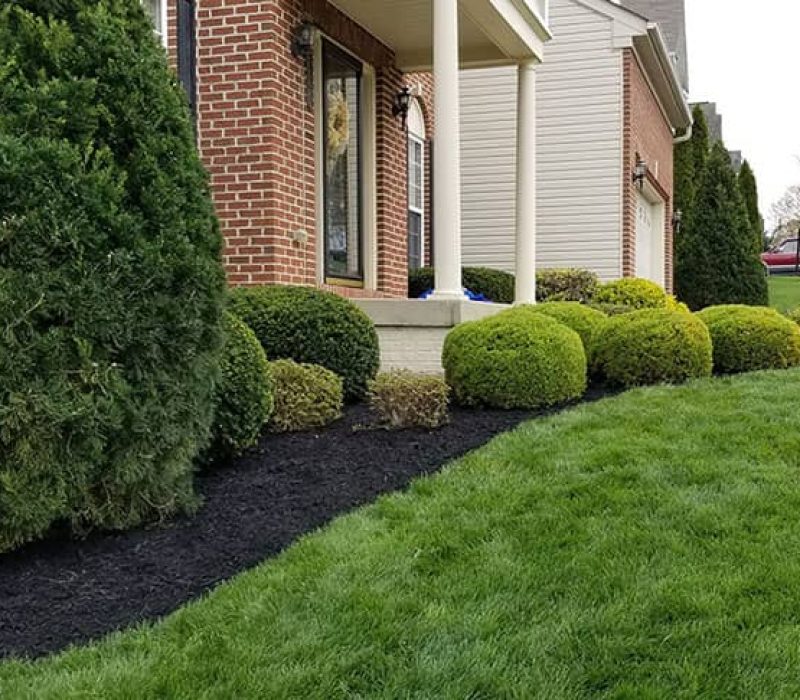 trimmed shrubs in front of brick home